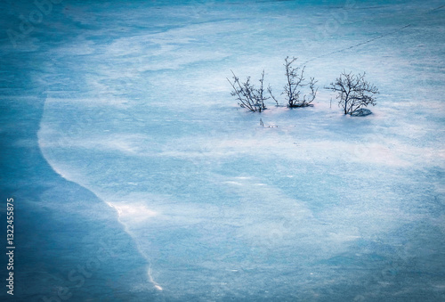Winter landscape of an ice covered lake surface,  with lonely tree branches frozen in the lake