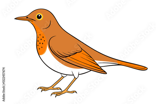 Stunning Thrush Vector Art. Beautiful Bird Illustration
