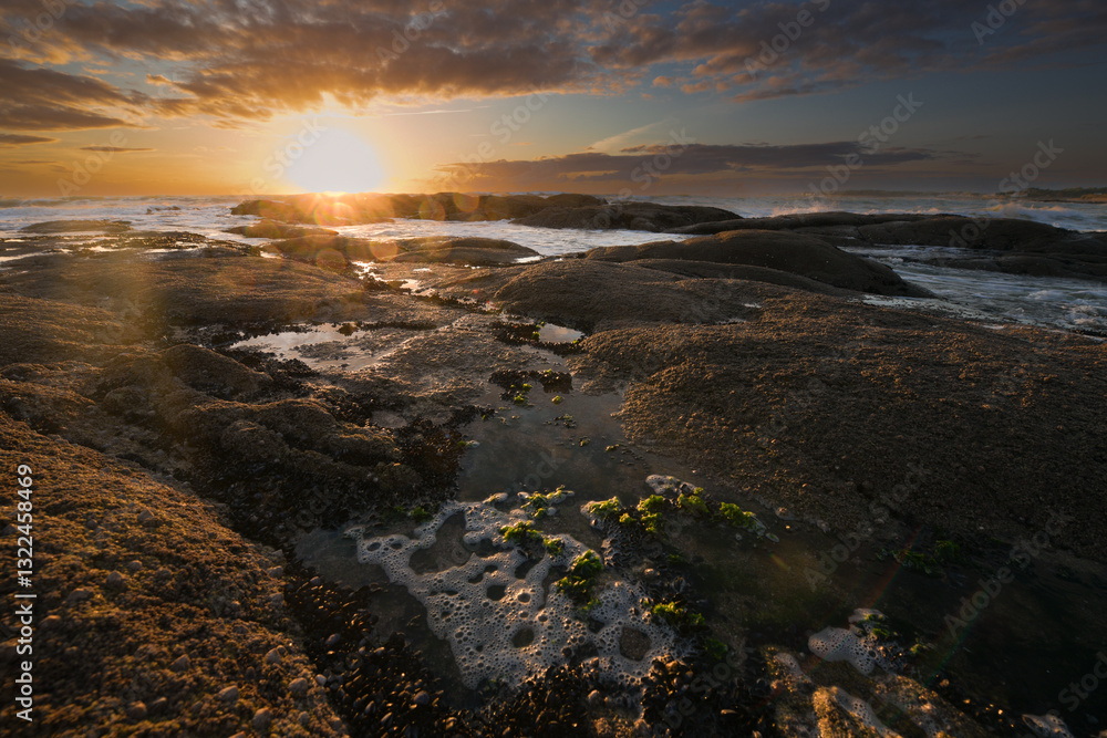 Obraz premium La Turballe