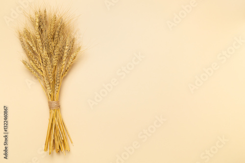 Spelt ears on color background,top view