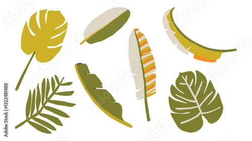 Collection de feuilles et plantes tropicales et exotiques - illustration vectorielle colorée 