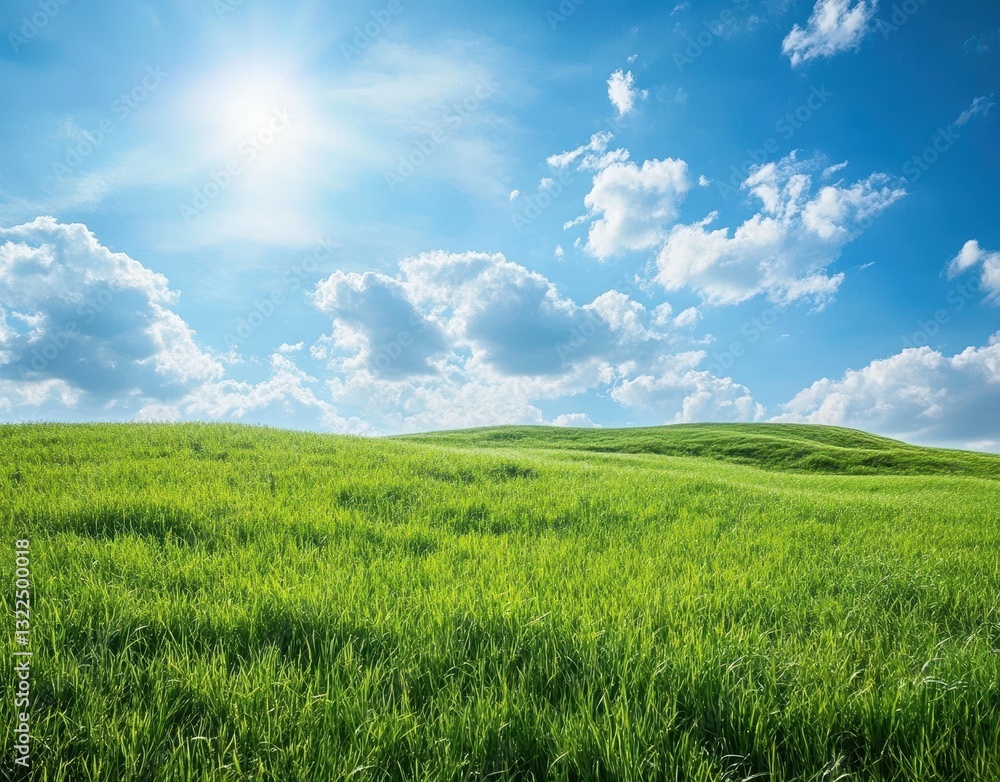Breathtaking Landscape of Lush Green Grass Under Bright Blue Sky with Fluffy Clouds and Warm Sunlight Radiating Across Serene Hills and Valleys Breathtaking Landscape of Lush Green Grass Under Bright Blue Sky with Fluffy Clouds and Warm Sunlight Radiating Across Serene Hills and Valleys