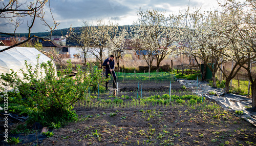 organic vegetable garden in early spring