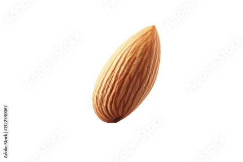 Nut is shown on a white background, isolated