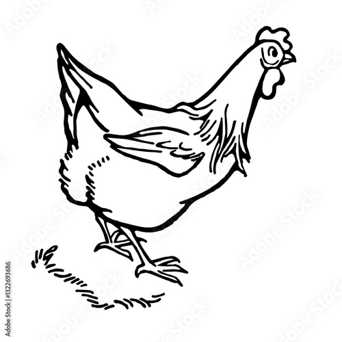 Chicken, Retro Vector Illustration