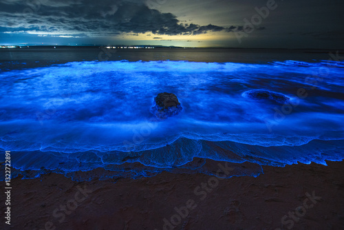 Fototapeta Naklejka Na Ścianę i Meble -  Bioluminescence sea sparkle Jervis bay, NSW, Australia.
11-07-2020
