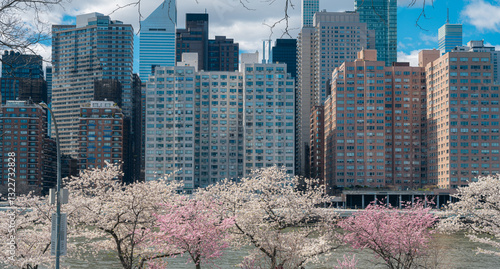 new york city skyline with Cherry blossom