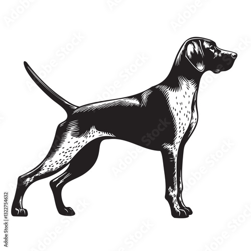 German Shorthaired Pointer Side pose silhouette vector. German Shorthaired Pointer Dog PNG – Hunting, Pointing & Standing Side Poses | Transparent Background