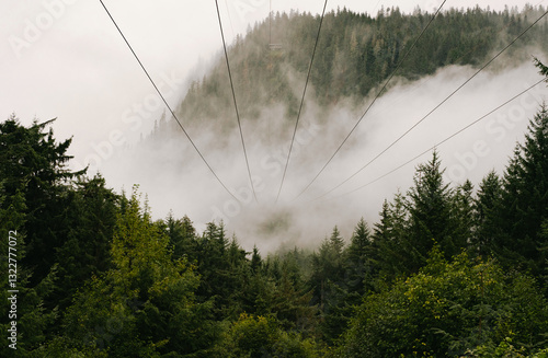 Icy Straight Point Zip Line 