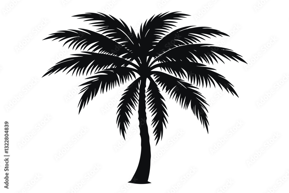 Obraz premium palm trees are shown in black and white Vector