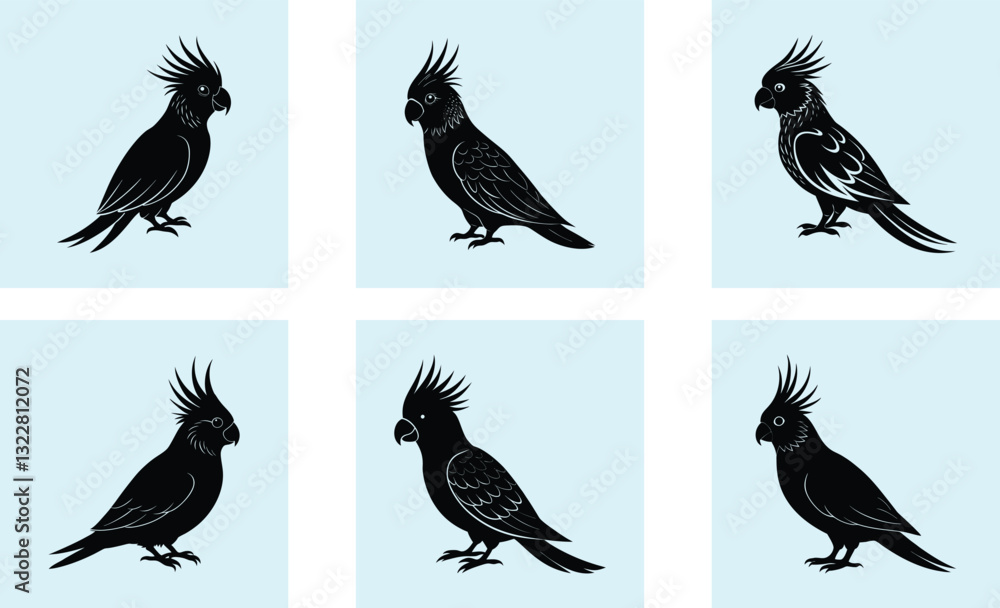 Obraz premium Cockatiel Silhouette vector