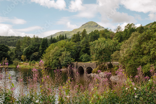 Stone Bridge in Loch Lomond Park