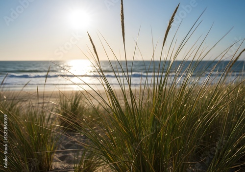 golden beaches, peaceful existence of sand dunes and lush beach grass by ocean, showcasing vibrant coastal plants, interconnectedness of land and sea, 