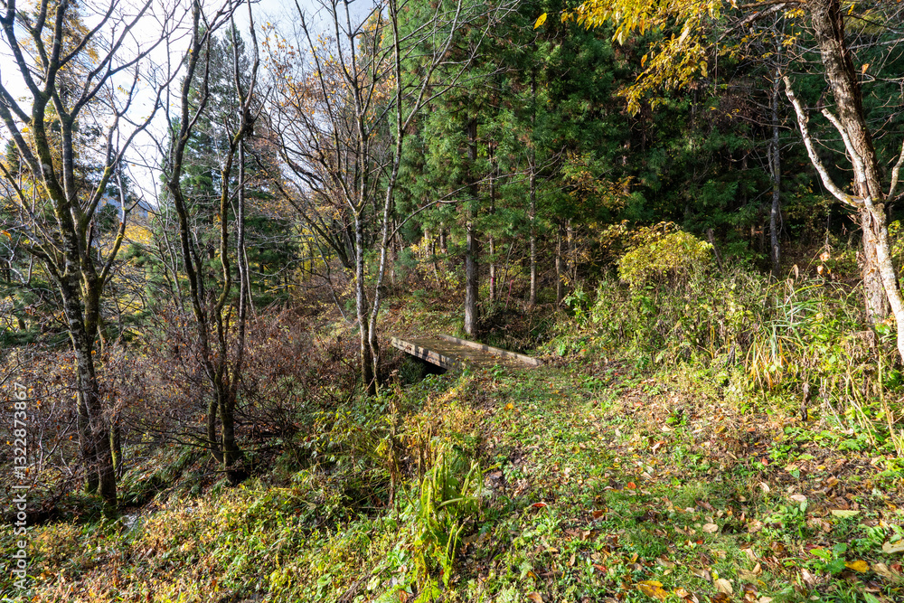 Historic old road “Salt Road” which is also a long distance hiking course and its surroundings Historic old road “Salt Road” which is also a long distance hiking course and its surroundings
