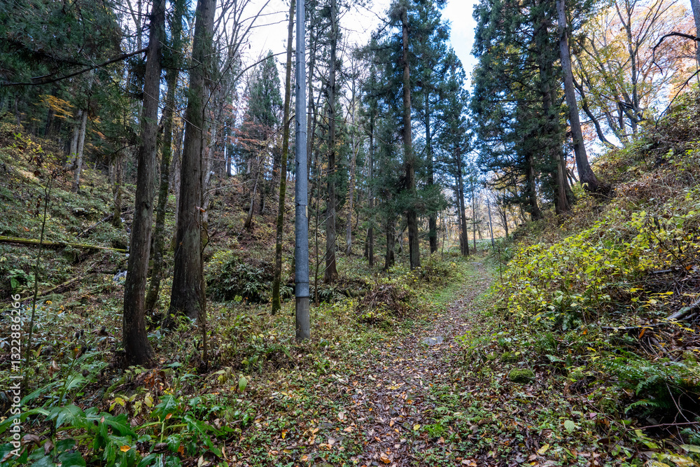 Obraz premium Historic old road “Salt Road” which is also a long distance hiking course and its surroundings