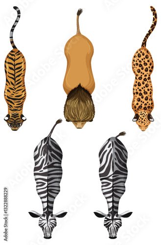 Top View of Wild Animals