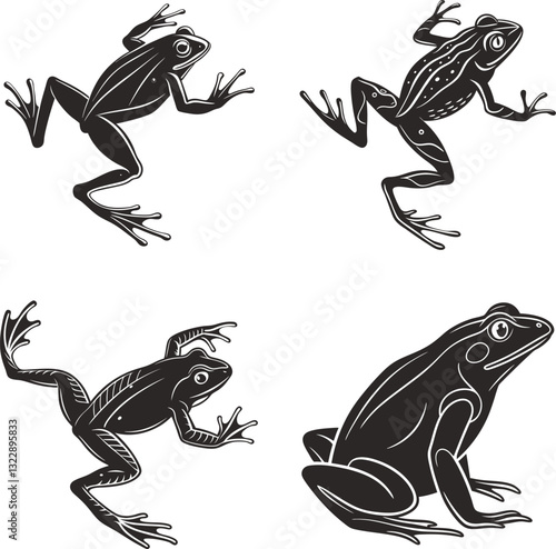 Freshwater and Saltwater Fish with Frog Illustrations High-Quality Aquatic Wildlife Collection.