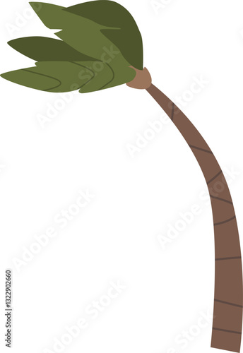 Palm tree on wind storm