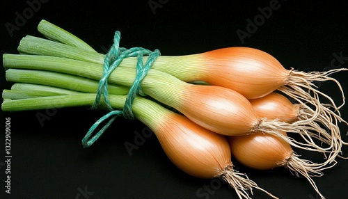 Obraz na płótnie Fresh Organic Green Onions with Roots Tied Together on Dark Background for Culinary Use w salonie