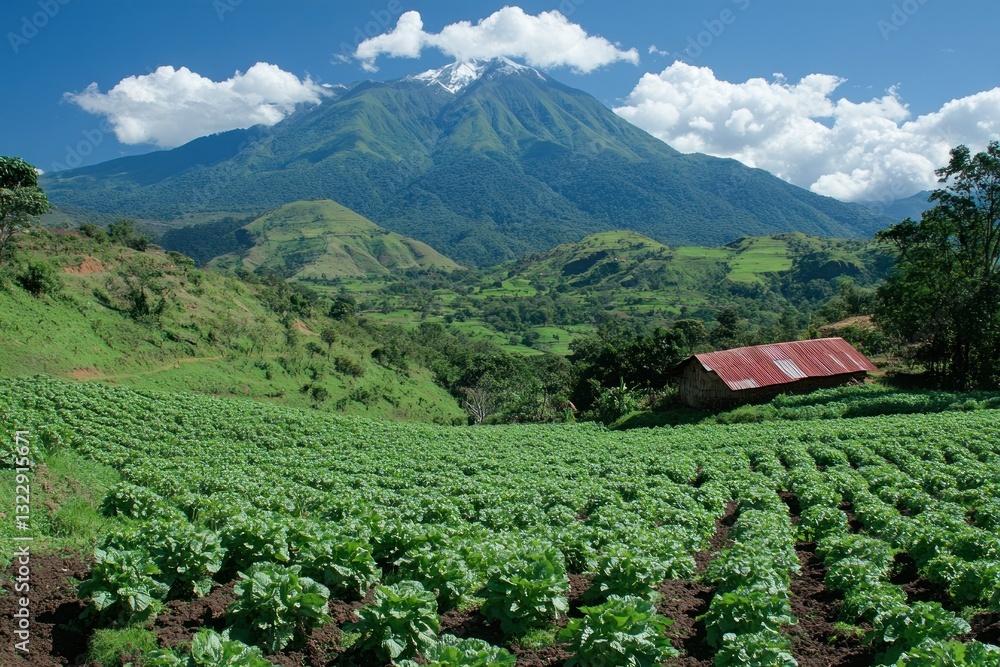 Lush Green Agricultural Field with Majestic Mountain Under Clear Blue Sky and Fluffy Clouds