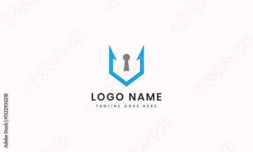 Professional v logotype template Flat design