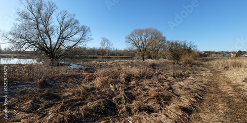 Spring walk through the forest, beautiful panorama.