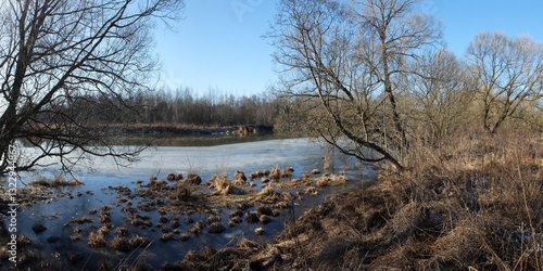Spring walk through the forest, beautiful panorama.