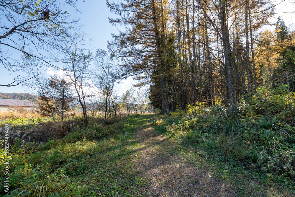 Fototapeta premium Historic old road “Salt Road” which is also a long distance hiking course and its surroundings