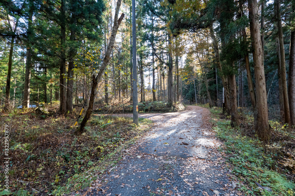 Fototapeta premium Historic old road “Salt Road” which is also a long distance hiking course and its surroundings