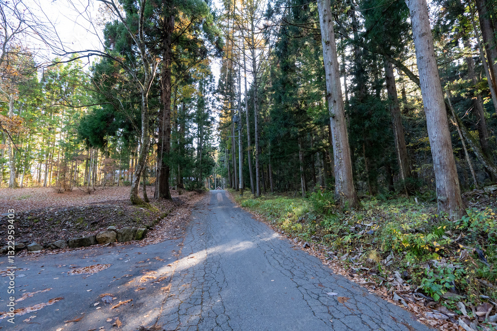 Obraz premium Historic old road “Salt Road” which is also a long distance hiking course and its surroundings