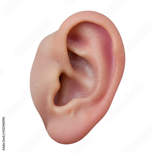 close up of a human ear PNG transparent