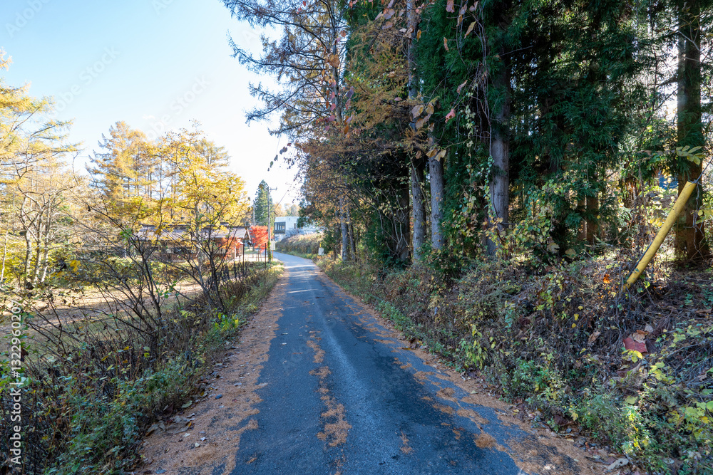 Historic old road “Salt Road” which is also a long distance hiking course and its surroundings