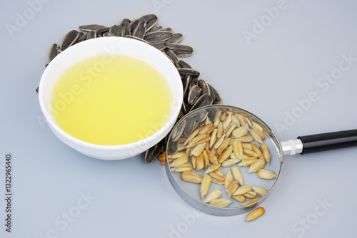 Obraz na plátně Top view of sunflower seeds under magnifying glass and oil on gray background