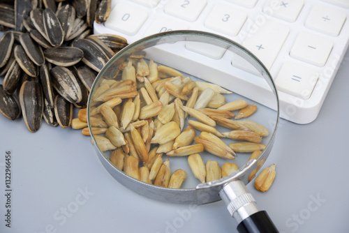 Obraz na plátně Sunflower seeds with calculator under magnifying glass on gray background