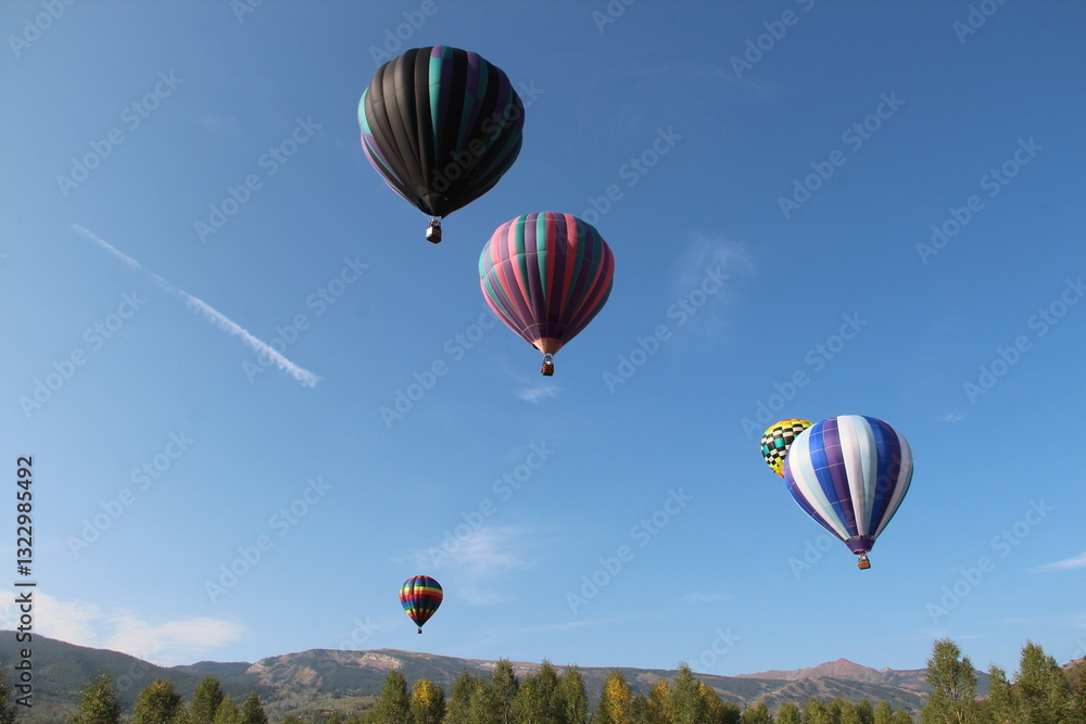 Obraz premium Hot Air Balloon Festival