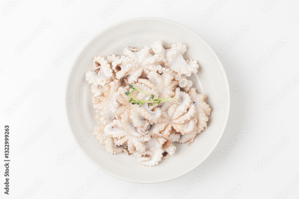 The cuttlefish is a mollusc of the octopus family. It is similar to an octopus, but its body is short, round, and about 20 to 30 cm long. The cuttlefish is a mollusc of the octopus family. It is similar to an octopus, but its body is short, round, and about 20 to 30 cm long.
