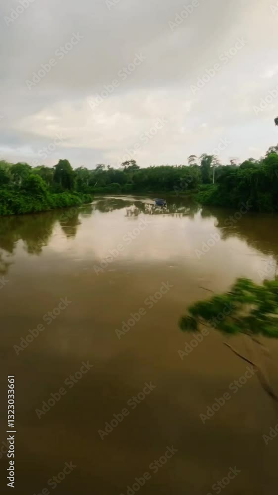 Aerial drone image of a tropical Amazon river flowing through a Amazon rainforest, dark water and lush vegetation. Cinematic aerial footage of the amazon rainforest showing a river through the jungle. Aerial drone image of a tropical Amazon river flowing through a Amazon rainforest, dark water and lush vegetation. Cinematic aerial footage of the amazon rainforest showing a river through the jungle.