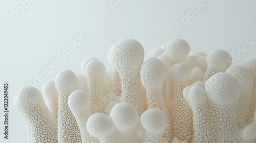 Mushroom texture: Macro shot capturing the intricate texture and shape of delicate, white mushrooms, revealing the subtle details of their caps and stems. 