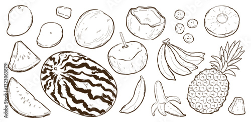 set de Fruta Tropical dibujada a mano. vector