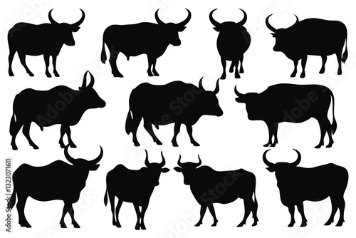 Ox silhouettes set isolated flat vector illustration on white background.