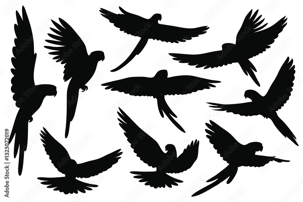Naklejka premium Parrot flying silhouettes set isolated flat vector illustration on white background.
