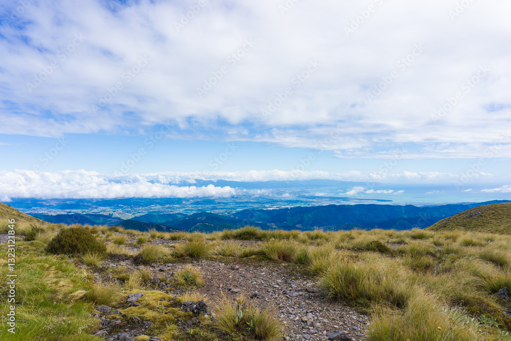 ニュージーランド、リッチモンド山脈からのぞむネルソンの街と海