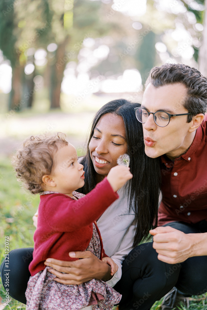 Fototapeta premium Dad blows on a dandelion in the hands of a little girl standing next to squatting mom