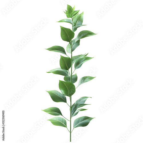 Green plant stem against clean white backdrop , botany research and nature study , PNG