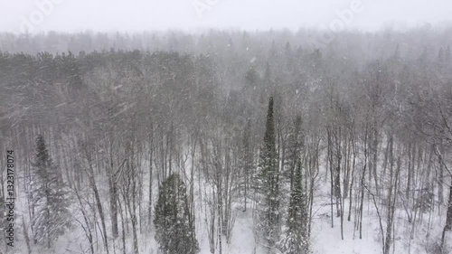 Wallpaper Mural Aerial dolly above forest with thick snow falling on a cold winter day, natural backdrop background Torontodigital.ca