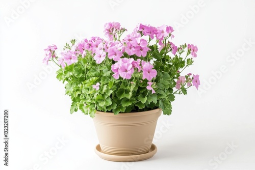 Wallpaper Mural Vibrant pelargonium in a stylish pot enhances modern decor with fresh greenery Torontodigital.ca