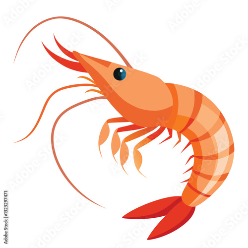 colorful shrimp vector image on white background