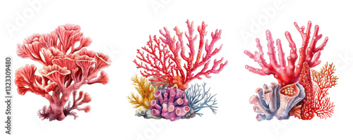 Watercolor set of red coral reefs. Red corals with algae on a white isolated background. Concept of marine and ocean plants. Magic sea reefs. Vector illustration.
