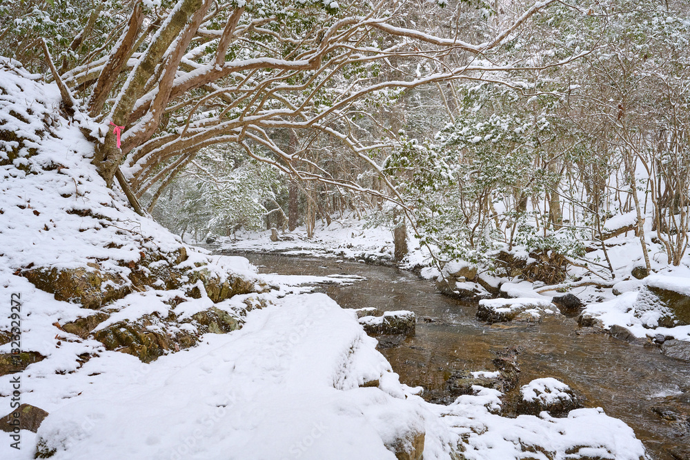 雪景色のるり渓