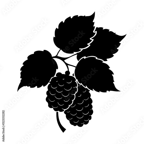 Mulberry silhouette vector